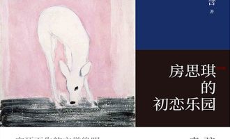 《房思琪的初恋乐园》EPUB|MOBI|AZW3电子书下载