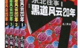 《黑道风云二十年 》五部全集EPUB|PDF|MOBI电子书下载