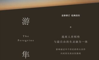 《游隼》MOBI|PDF电子书下载