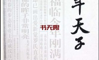 《少年天子》EPUB|MOBI |AZW3电子书下载