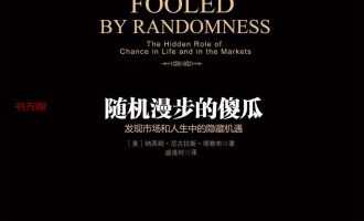 《随机漫步的傻瓜》EPUB|MOBI|AZW3|PDF电子书下载