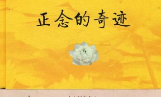 《正念的奇迹》EPUB|MOBI|AZW3电子书下载