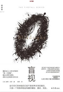 《盲视》EPUB电子书下载