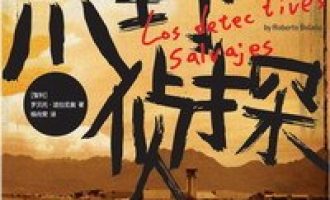 《荒野侦探》MOBI 电子书下载