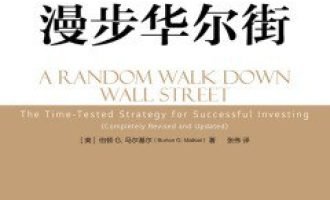 《漫步华尔街 》EPUB电子书下载